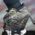 lizard